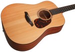 Furch Blue D-CM CNR Active