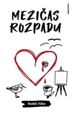Mezičas rozpadu