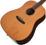 Tanglewood TRS5 SE