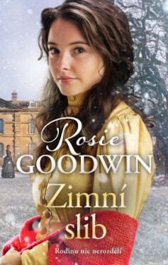 Zimní slib - Rosie Goodwin - e-kniha