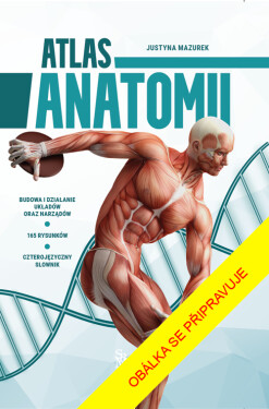 Anatómia ľudského tela