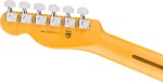 Fender American Professional Hot Shot Telecaster MN ACB