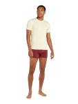 Pánské merino tričko s krátkým rukávem ICEBREAKER Mens Anatomica SS Crewe, Undyed velikost: M