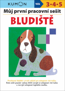 Můj pracovní sešit Bludište