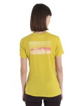 ICEBREAKER Wmns Merino 150 Tech Lite III SS Tee Natural Run Club 2.0, Lux velikost: S