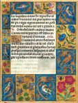 Ancient Illumination / Spinola Hours / Ultra / Unlined