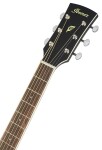 Ibanez PC14MHCE Weathered Black