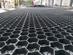 ROJA Zatravňovací dlaždice EKOGRID - 60x40x3 cm - černá