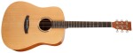 Tanglewood TWR2D