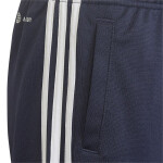 Juniorské šortky adidas Designed Move 3-Stripes HN8544