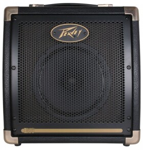 Peavey Ecoustic E20