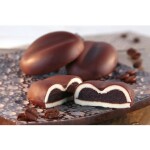 IREKS ENZYMA Karina Moccacino 250g