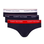 Tommy Hilfiger Spodní prádlo 3P Brief M 1U87903766 S