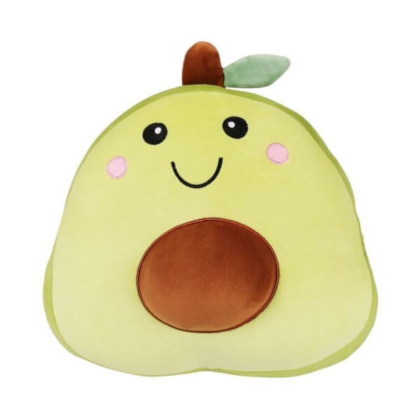 Polštář a deka 2v1