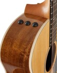 Taylor 214ce-K DLX