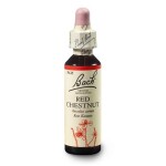 Kaštan červený (Red Chestnut) 20 ml - Bachovy esence Dr.Bach
