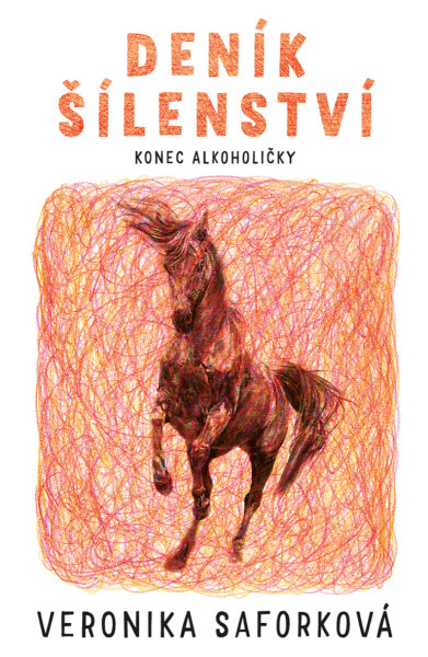 Deník šílenství - Saforková Veronika