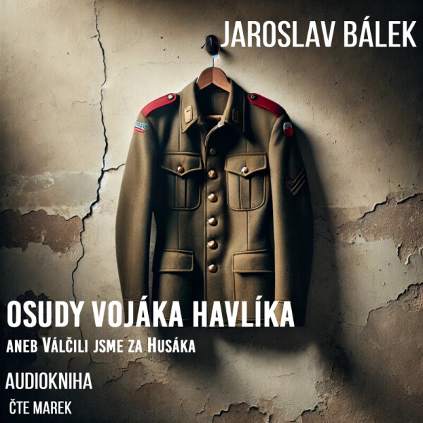 Osudy vojáka Havlíka aneb Válčili jsme za Husáka - Jaroslav Bálek - audiokniha