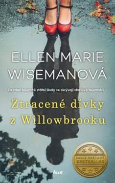 Ztracené dívky z Willowbrooku - Ellen Marie Wisemanová - e-kniha