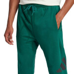 Kalhoty adidas Essentials Big Logo French Terry M JE8971 s