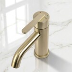REA - Umyvadlová baterie Ontario Brush Gold REA-B5505
