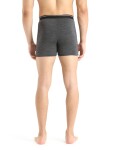 Pánské boxerky ICEBREAKER Mens Anatomica Boxers, Jet Heather velikost: M