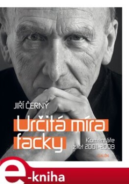 Určitá míra facky Jiří Černý