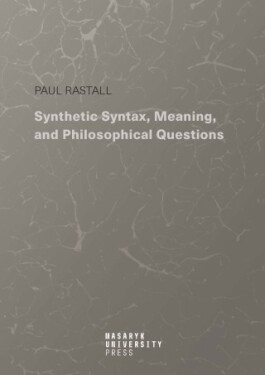 Synthetic Syntax, Meaning, and Philosophical Questions - Paul Rastall - e-kniha