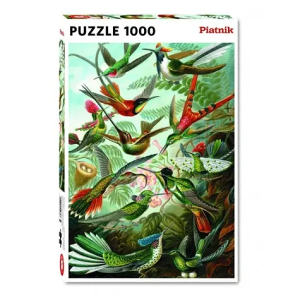 Piatnik Haeckel Kolibris