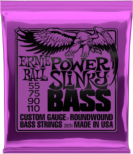 Ernie Ball 2831