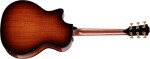 Taylor PS14ce Figured Urban Ironbark / Redwood