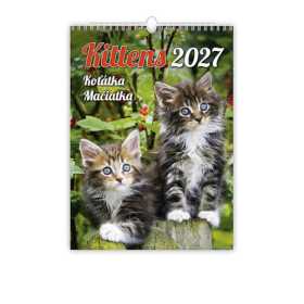 Kalendář nástěnný 2027 - Kittens/Koťátka/Mačičky