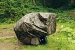 Fox na Camo Barrow Cover