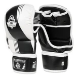 DBX BUSHIDO ARM-2011A MMA rukavice (5902539014693)