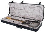 Fender American Professional II Telecaster DLX RW MERC
