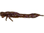 Westin Gumová nástraha Odonata Ned Creaturebait 6,5cm 2g 4ks - Disco Nymph,Westin Gumová nástraha Odonata Ned Creaturebait 6,5cm 2g 4ks - Disco Nymph