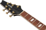 Ibanez IC420 GD
