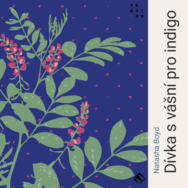 Dívka s vášní pro indigo - Natasha Boyd - audiokniha