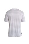 ICEBREAKER Mens Merino Drayden SS Tee Stripe, Ecru Heather/Purple Gaze velikost: M