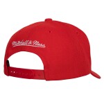 Mitchell & Ness Pánská Kšiltovka Detroit Red Wings Team Ground 2.0 Pro Snapback