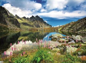 Starolesnianske pleso Tatry 3000 dílků