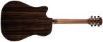 Dowina Danubius DCE-LB StagePro