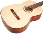 Ortega R55DLX