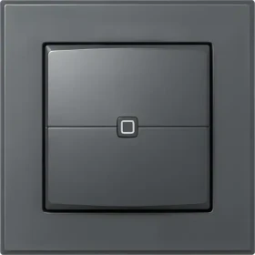 Homematic IP HmIP-WRC2-A-2 antracit / Nástěnný dálkový ovladač / 2 tlačítka / IP20 / 868 MHz (161869A0)