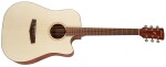 Ibanez PF10CE Natural