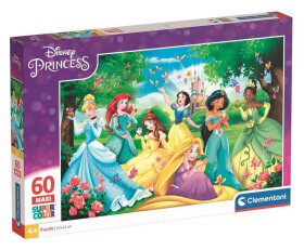 Puzzle Princess Maxi 60 dílků