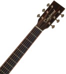 Tanglewood TJ 5 CE