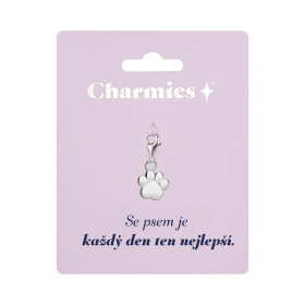 Stříbrný přívěsek tlapky - Se psem - Albi