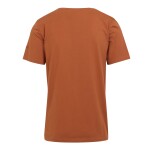 Pánské tričko Cline VIII RMT284-K13 hnědé Regatta