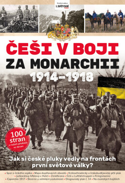 Češi v boji za Monarchii 1914-1918 - Kolektiv